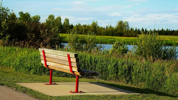 Comment limiter les douleurs liées aux hémorroïdes