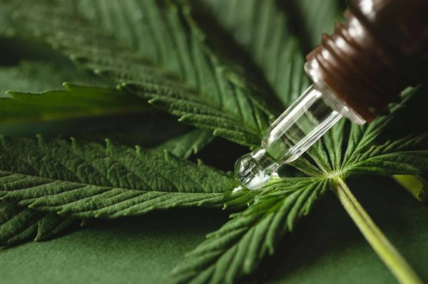 Comprendre les dangers du cbd et comment les éviter