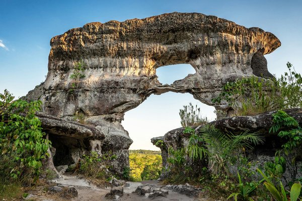 Maîtriser la réflexologie : une formation holistique accessible